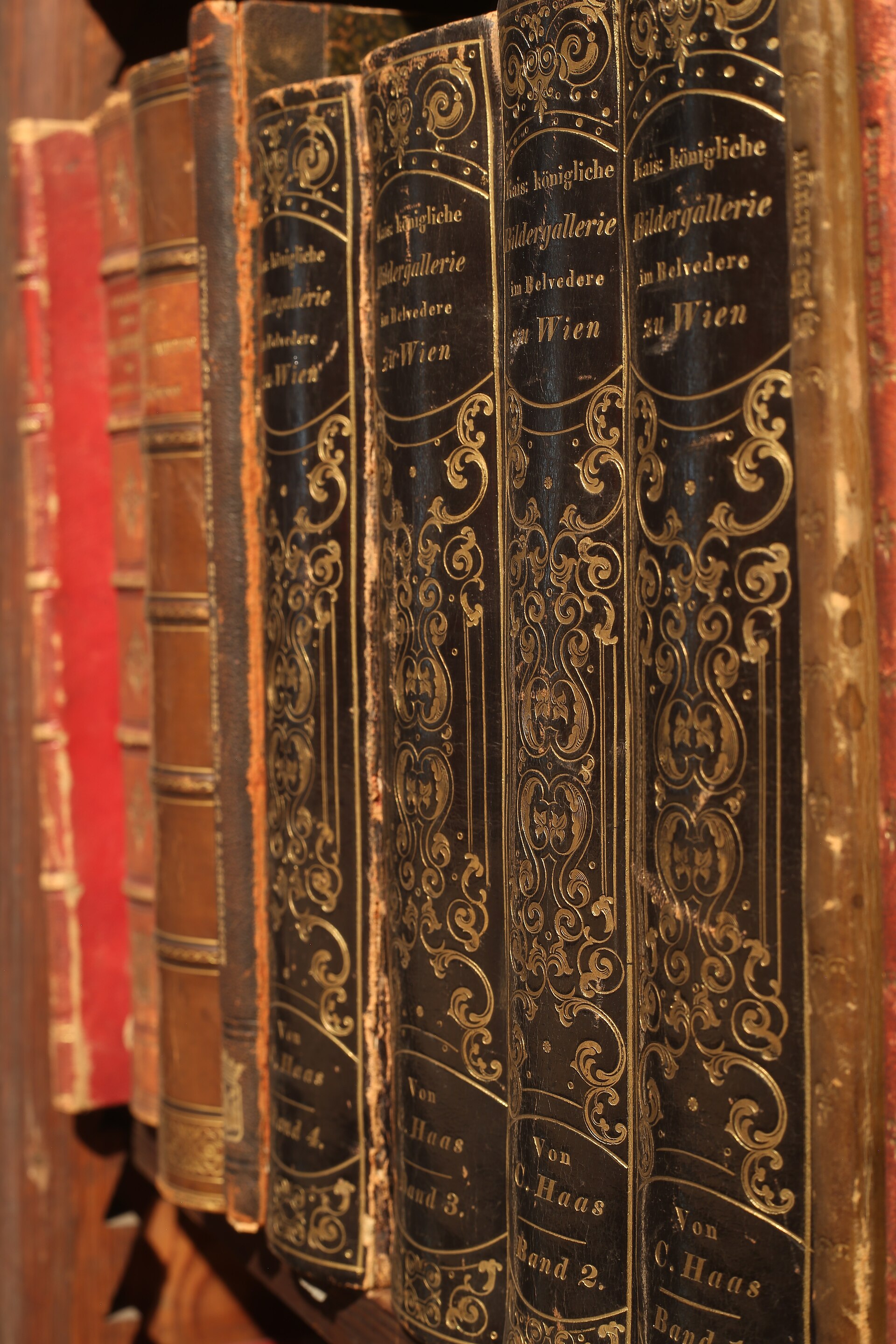 Shelves of books in a library